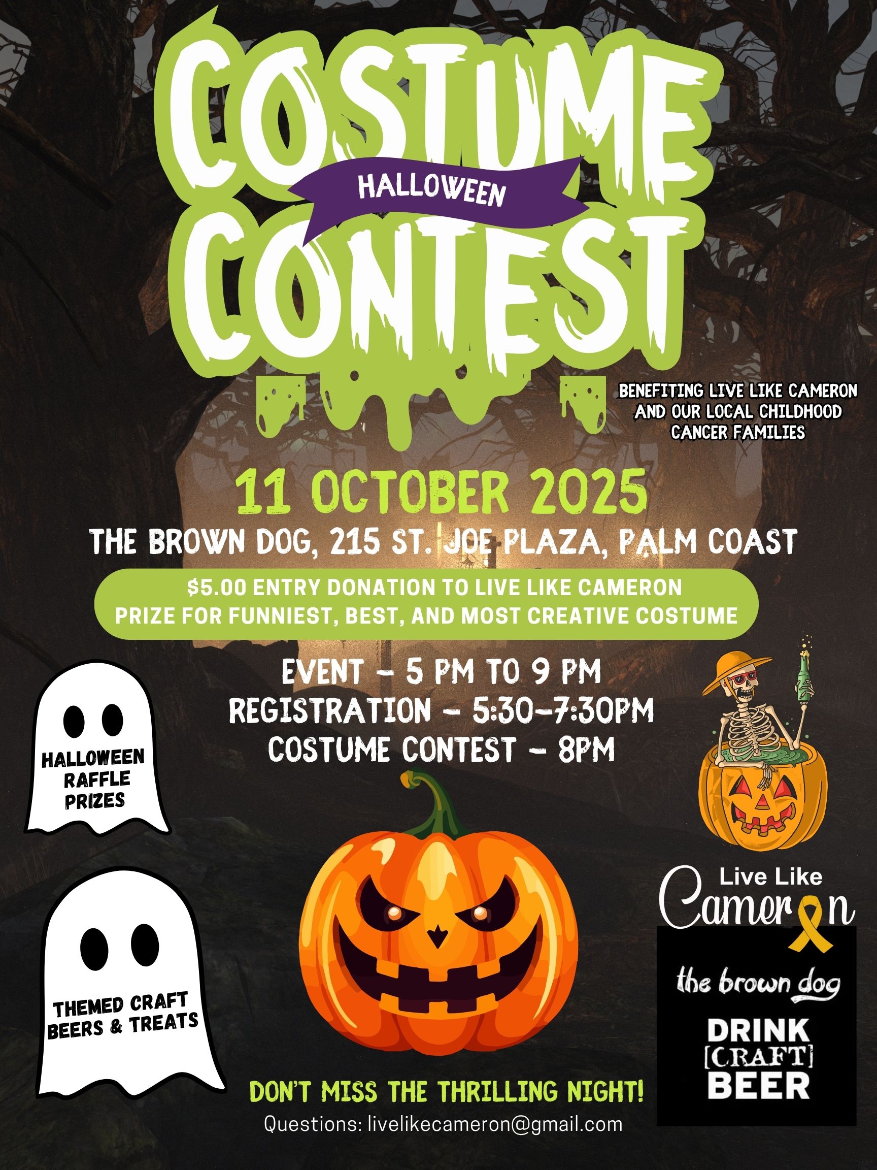 Brown Dog Flyer